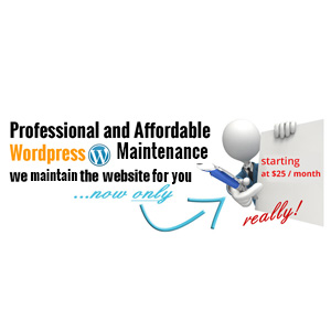 Affordable wordpress maintenance services